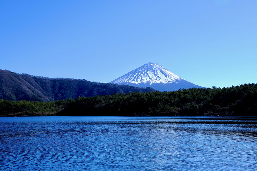 富士五湖を楽しむアクティビティ